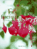 Fuchsia a Care Manual