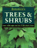 Botanica's Trees & Shrubs: Over 1000 Pages & Over 2000 Plants Listed