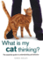 What is My Cat Thinking? : the Essential Guide to Understanding Pet Behavior