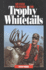 Advanced Strategies for Trophy Whitetails