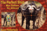 Perfect Shot: Mini Edition for Africa Format: Hardcover