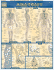 Anatomy (Quickstudy Reference Guides-Academic)