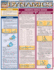 Dynamics (Quickstudy Reference Guides-Academic)