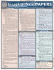 Essays and Term Papers (Quickstudy Reference Guides-Academic)