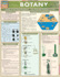 Botany (Quickstudy Academic)