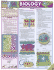 Biology Laminate Reference Chart: the Basic Principles of Biology (Quickstudy: Academic)