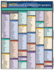 Commonly Misspelled and Confused Words Quickstudy Laminated Reference Guide (Quickstudy Academic)