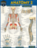 Anatomy 2 (Quick Study Academic)