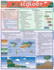 Ecology (Quick Study Academic)