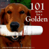 101 Uses for a Golden Retriever