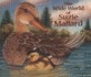 By Dawn's Early Light: Waterfowl Hunting, Retrievers, and Other Aspects of Morning Madness