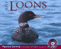 Just Loons: a Wildlife Watcher's Guide
