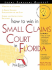 How to Win in Small Claims Court in Florida (Legal Survival Guides)