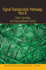 Signal Transduction Pathways, Part B: Stress Signaling and Transcriptional Control (Annals of the New York Academy of Sciences)
