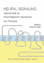 Neural Signaling