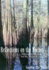 Reflections on the Neches: a Naturalist's Odyssey Along the Big Thicket's Snow River (Volume 3) (Temple Big Thicket Series)