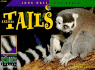 Animal Tails (Look Once, Look Again)
