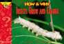 Insects Grow and Change (How & Why)