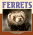 Ferrets (Nature Watch)