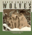 North American Wolves (Nature Watch)