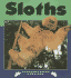 Sloths (Nature Watch)