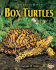Box Turtles (Nature Watch)
