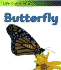 The Butterfly (My First Book of Nature)