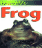 Frog (Life Cycle of a)