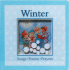 Winter (Windows on the Season)