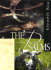 The Psalms: a Journal (Reflections Series)