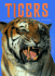 Tigers: a Portrait of the Animal World