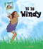 It is Windy (Weather)