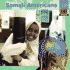 Somali Americans (One Nation)