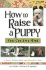 How to Raise a Puppy You Can Live With