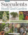 Succulents for Your Home and Garden: a Guide to Growing 191 Beautiful Varieties & 11 Step-By-Step Crafts and Arrangements (Creative Homeowner) Gardening, Crafting, and Plant Care