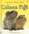 Guinea Pigs (Usborne First Pets)