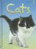 Cats (Usborne Beginners)