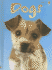 Dogs Revised (Beginners)