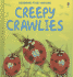 Usborne First Nature: Creepy Crawlies