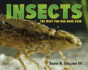 Insects: the Most Fun Bug Book Ever