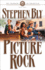 Picture Rock (the Skinners of Goldfield, Book 3)