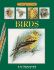 Birds (Drawing in Color)