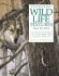 Painting Wildlife Textures: Step By Step