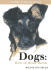 Dogs: How to Draw Them (Pocket Drawing)