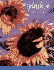 Splash 4: the Splendor of Light