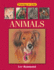 Drawing in Color-Animals