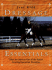 Dressage Essentials