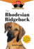 The Rhodesian Ridgeback: an Owner's Guide to a Happy Healthy Pet (Happy Healthy Pet, 7) Bailey, Eileen M.