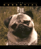The Essential Pug (Essential Guide S. )