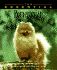 The Essential Pomeranian: Howell Book House's Essential